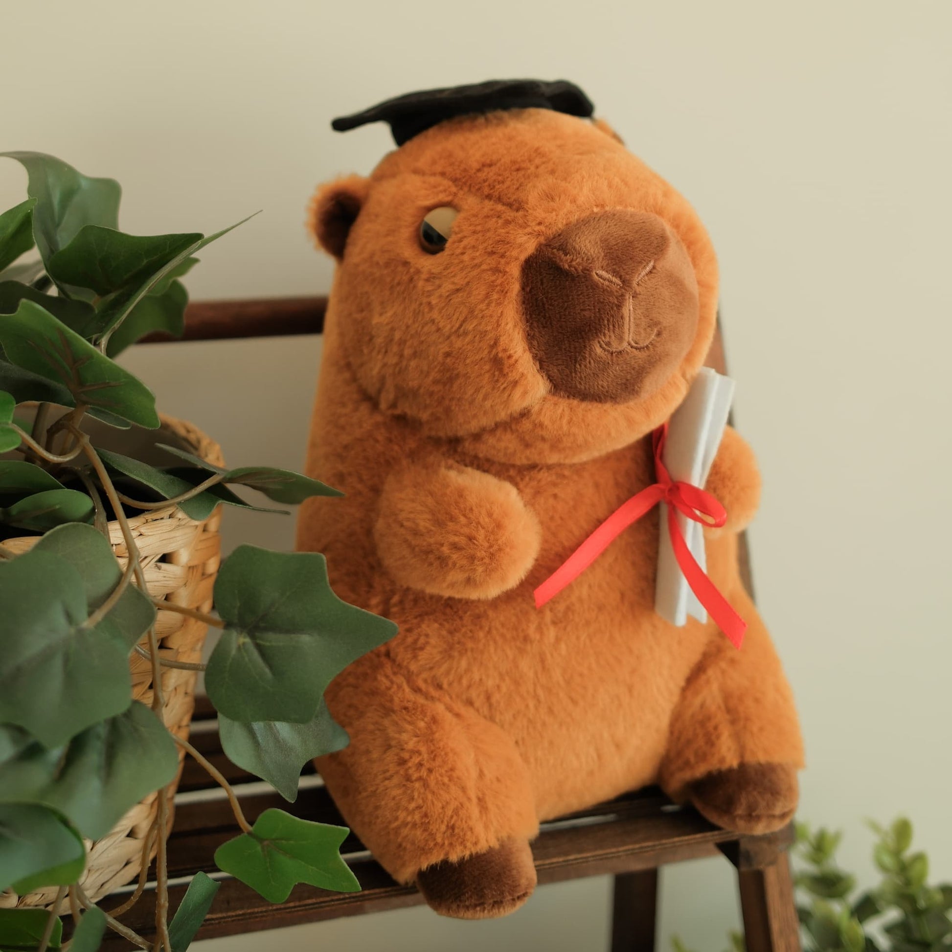 Brown capybaras with a graduation cap and scroll on a chair next to a plant