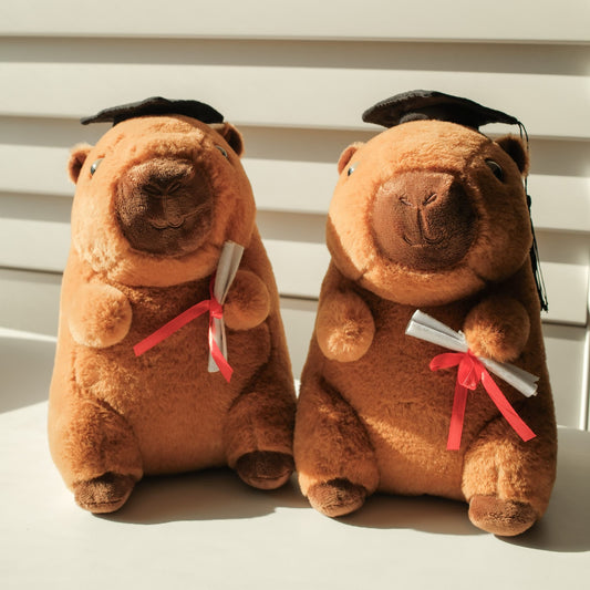 Two brown plush capybaras wearing graduation caps and holding diplomas on a neutral background