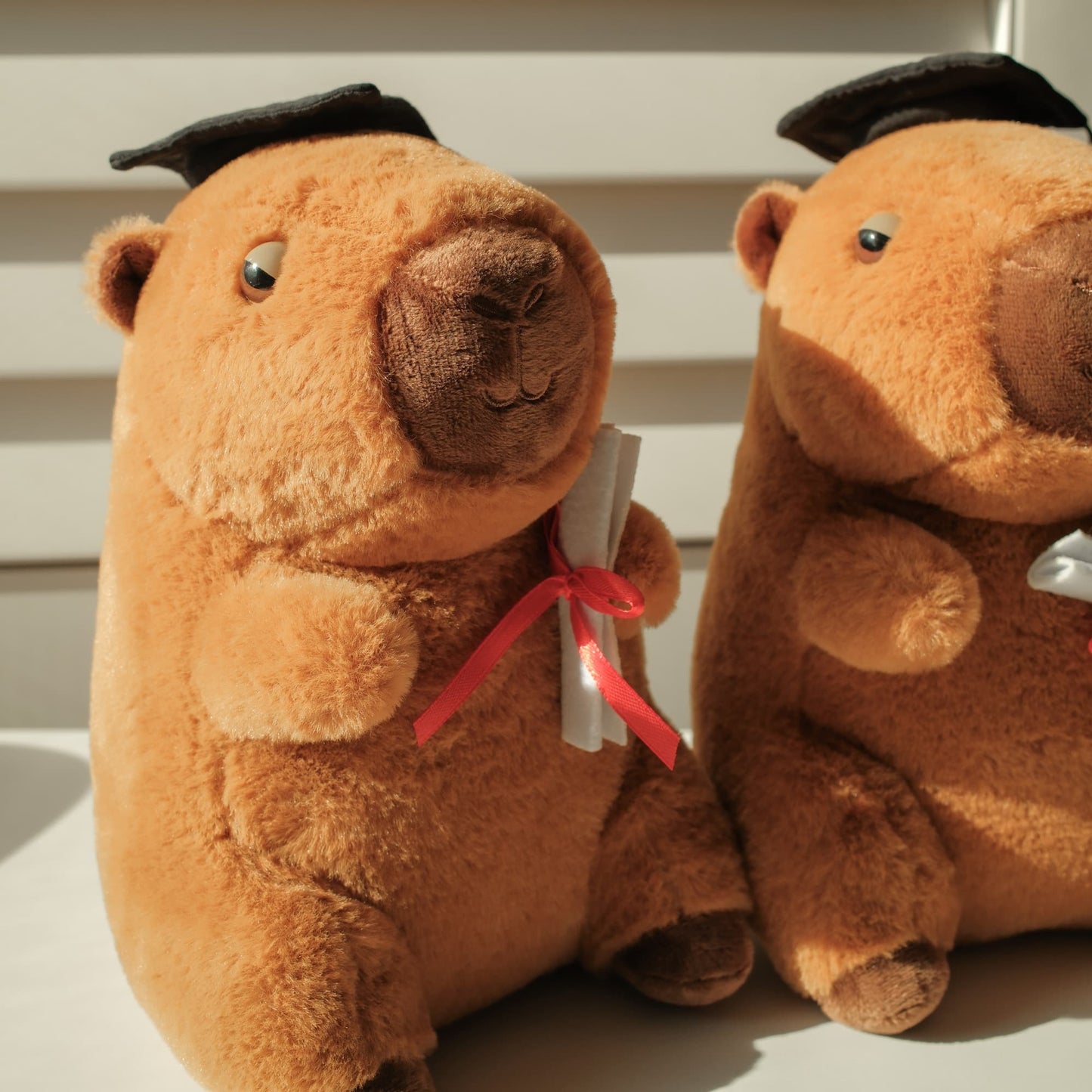 Two capybaras wearing graduation caps and holding scrolls on a light background