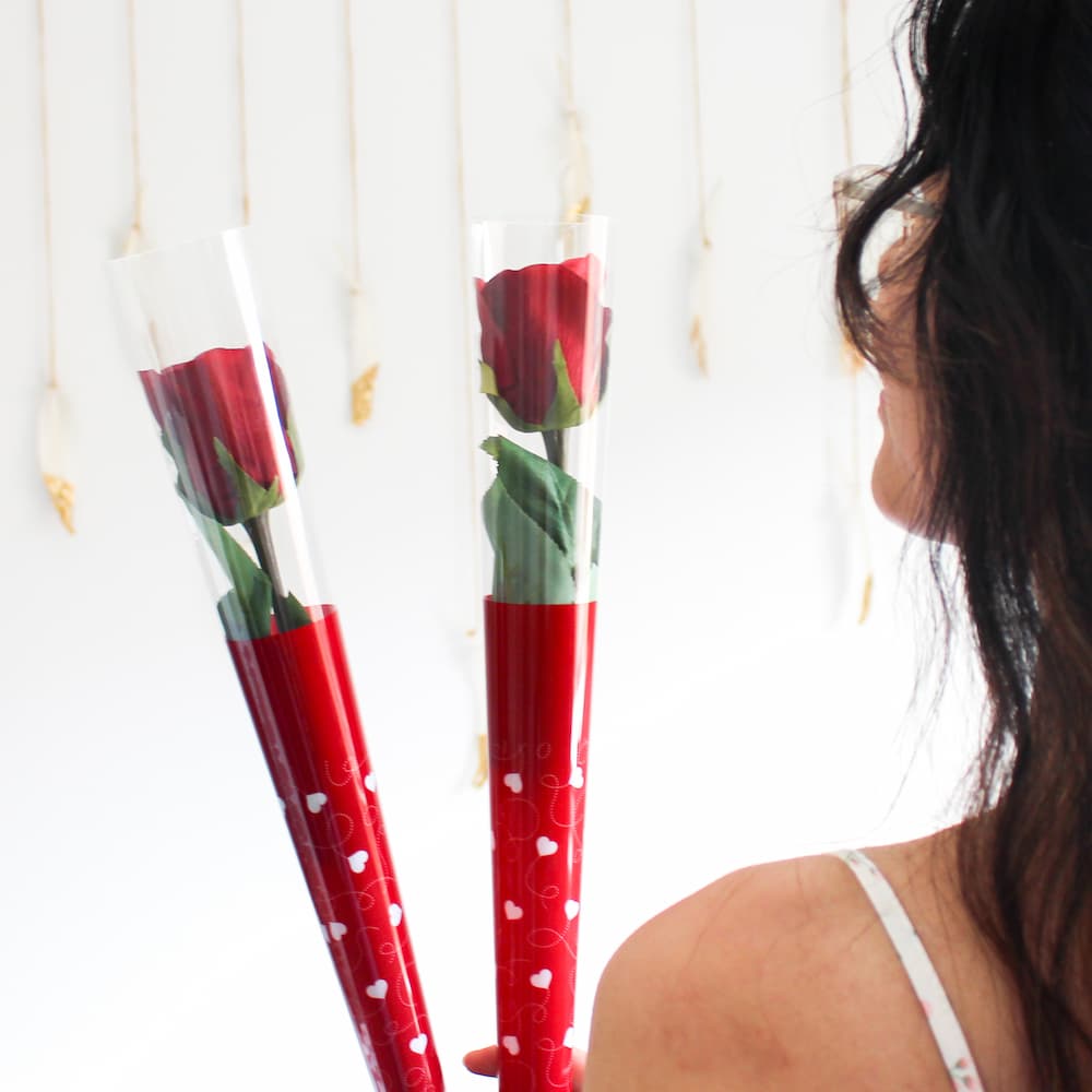 Everlasting Single Rose Cone valentine's day gift