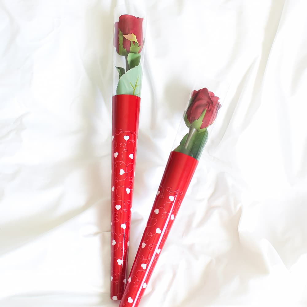 Everlasting Single Rose Cone valentine's day gift
