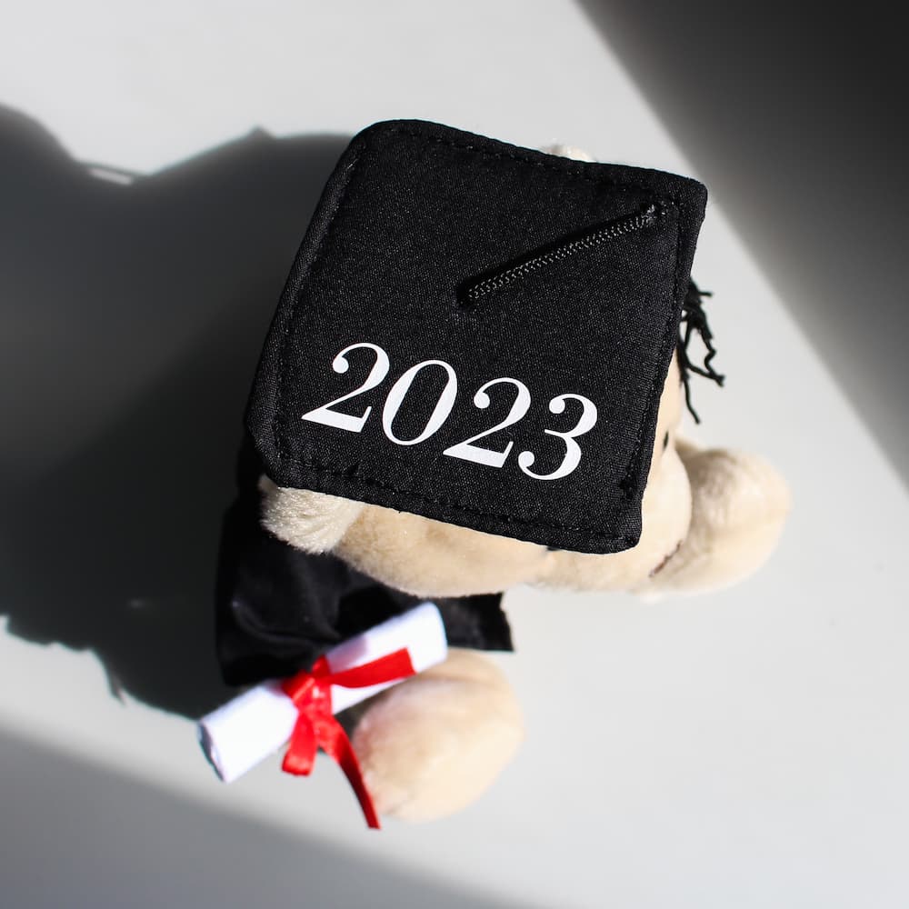 Personalised Graduation Bear