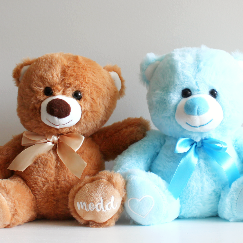 personalised teddy bear personalised bear anniversary gift bear valentines day bear valentines day personalised bear personalized plush bears baby blue
