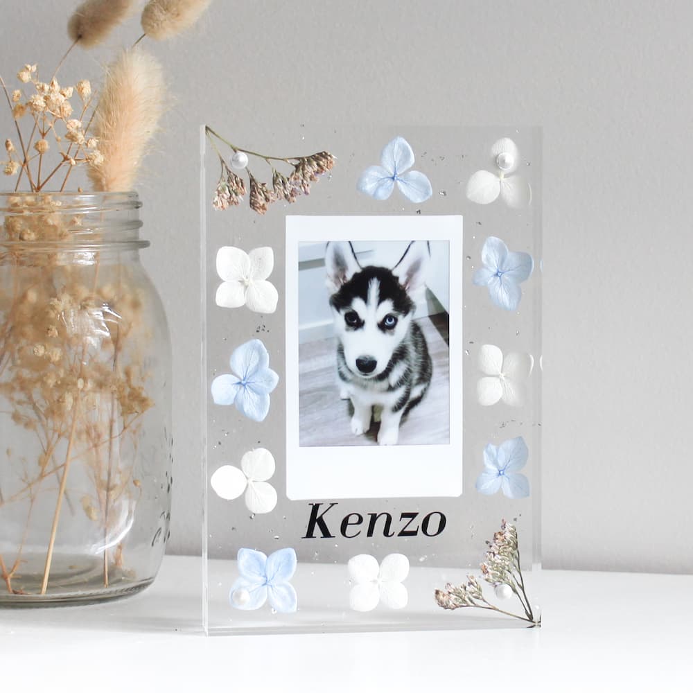 personalised flower polaroid frame clear flower frame personalised dog frame pet frame