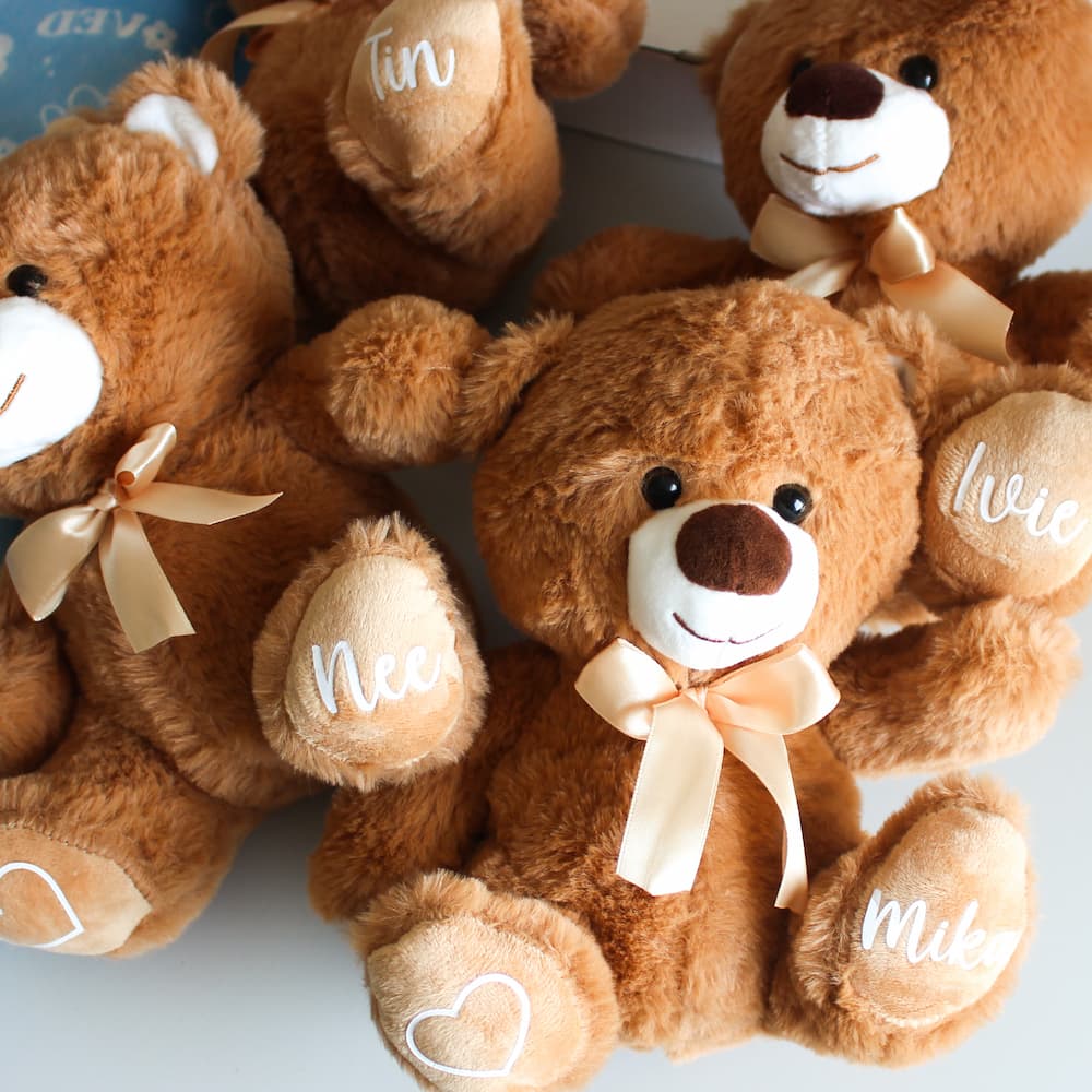 personalised teddy bear personalised bear anniversary gift bear valentines day bear valentines day personalised bear personalized plush bear